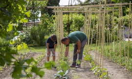 Il giardiniere racconta