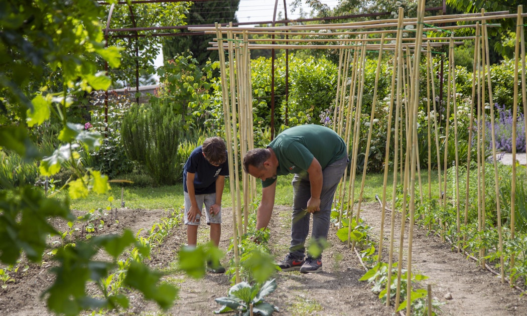 Il giardiniere racconta