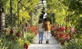 Profumi, suoni ed essenze dell'Orto