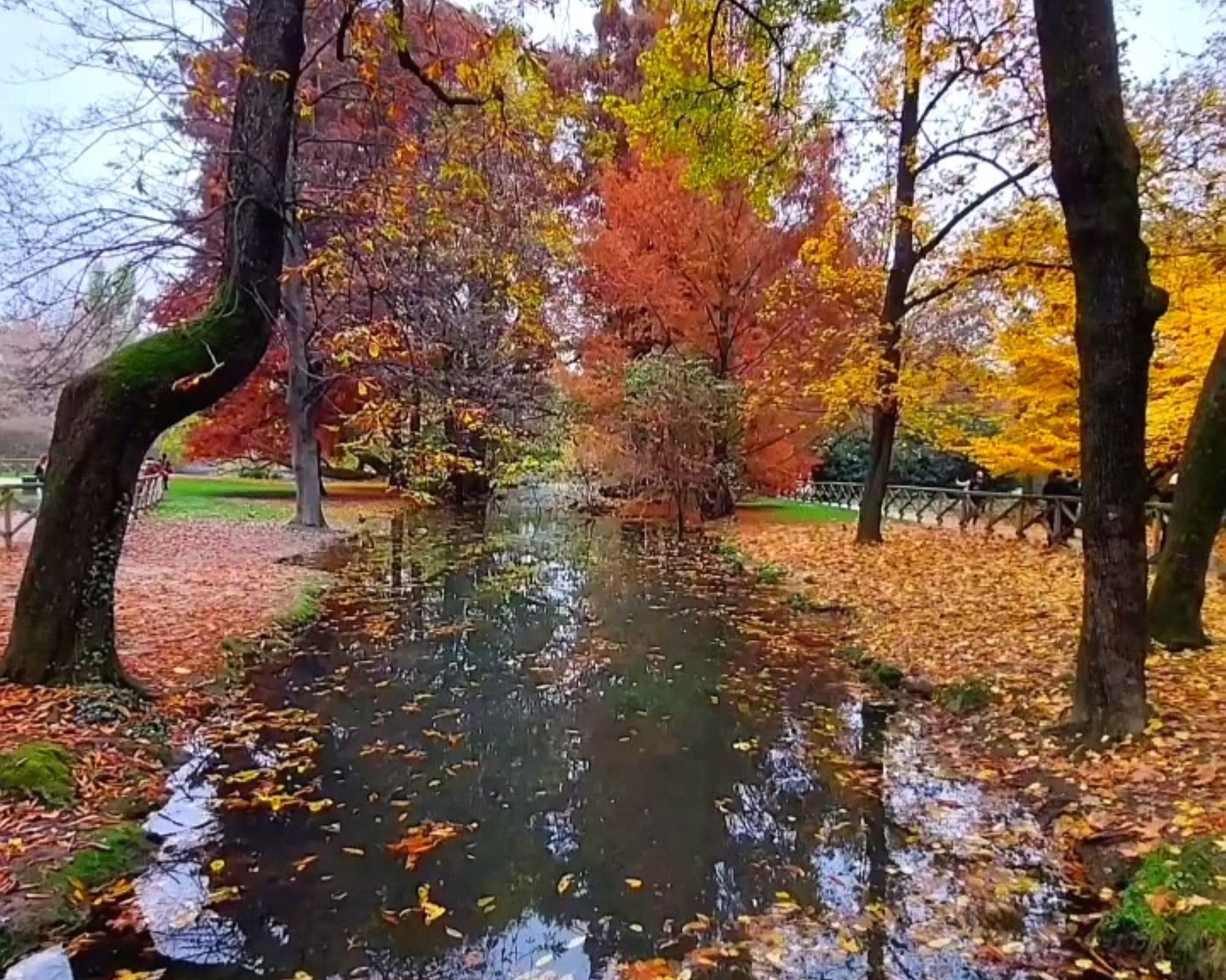 Le curiosità botaniche di Parco Sempione