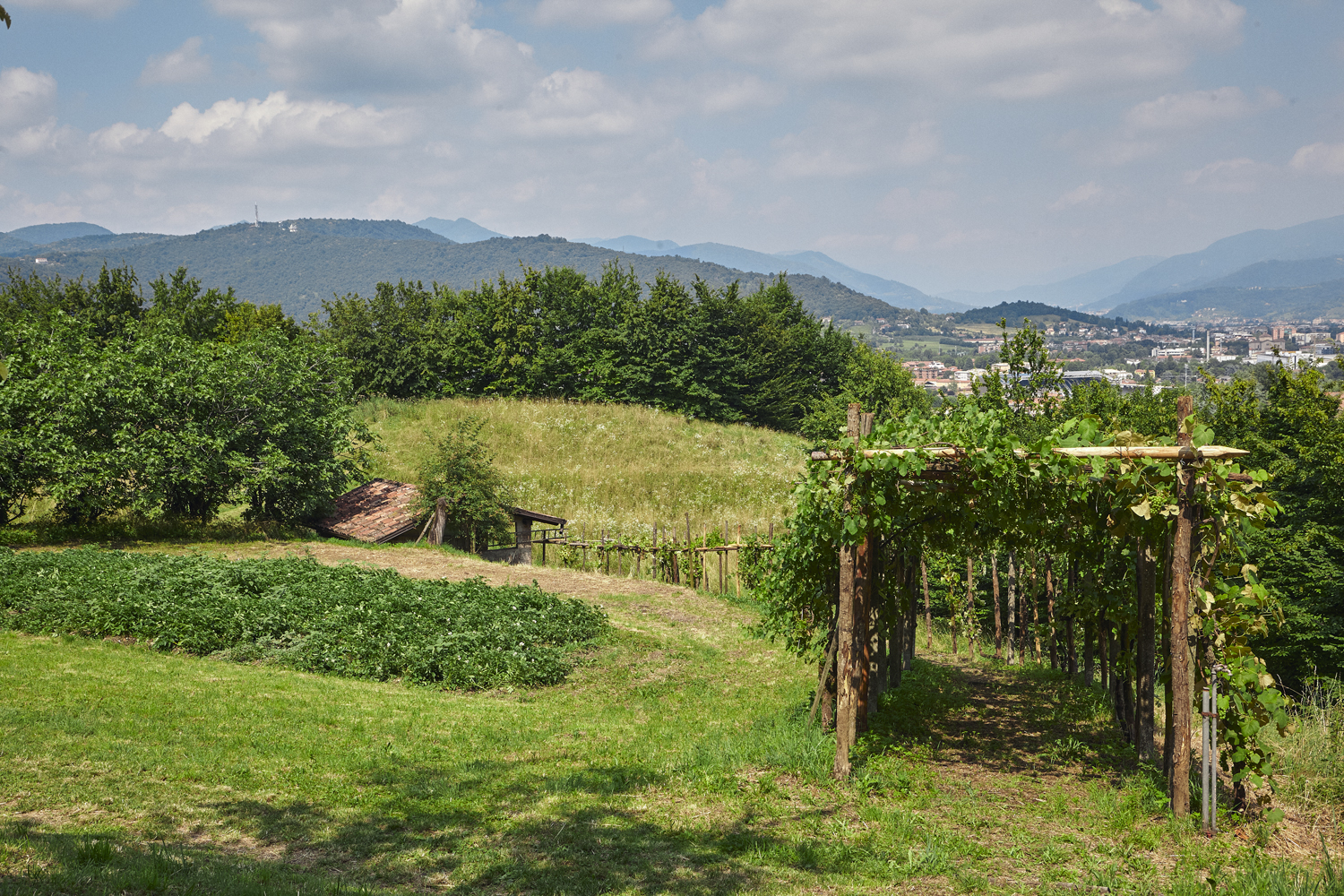 Appuntamento in giardino