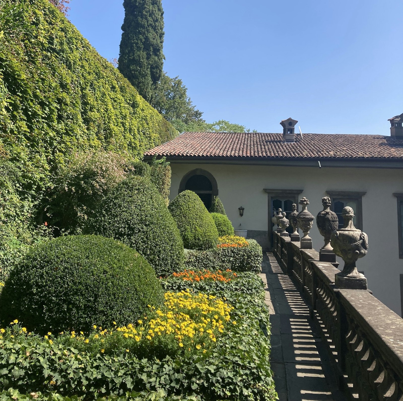 I Paesaggi di Palazzo Moroni Evento FAI