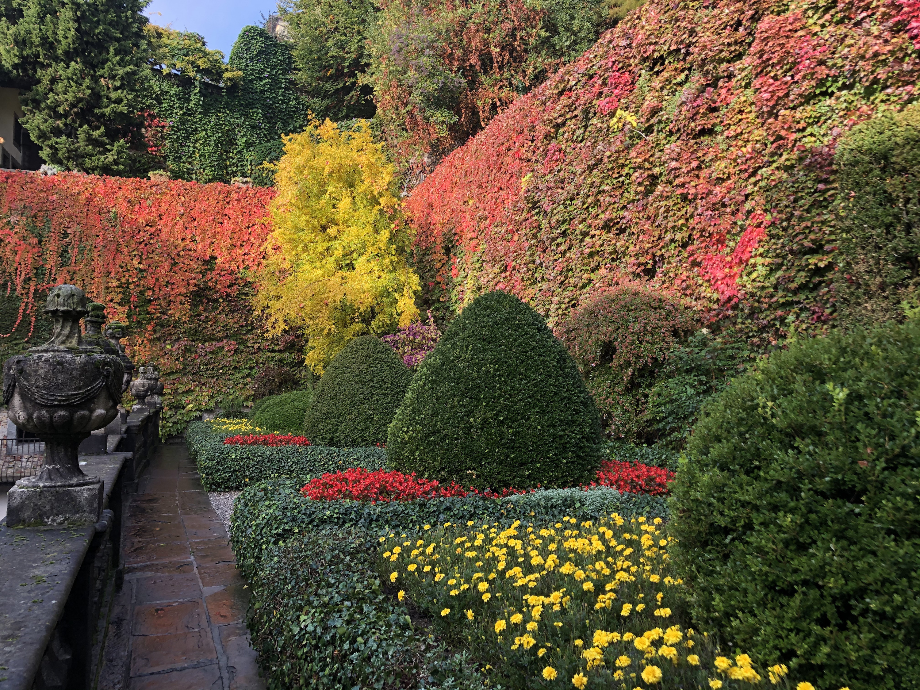L'esperto racconta: la biodiversità a Palazzo e Giardini Moroni