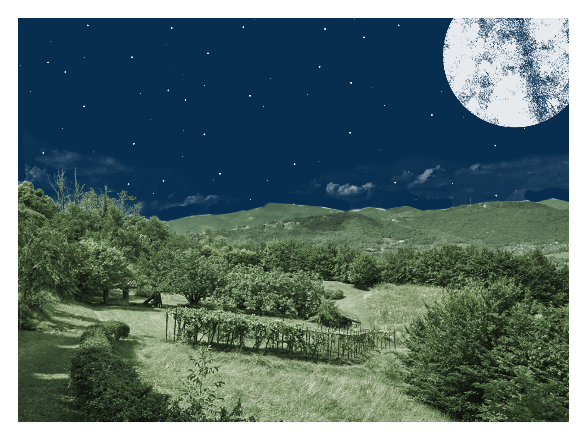 Visite al Tramonto con Picnic