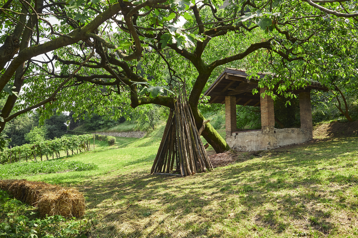 Il giardiniere racconta