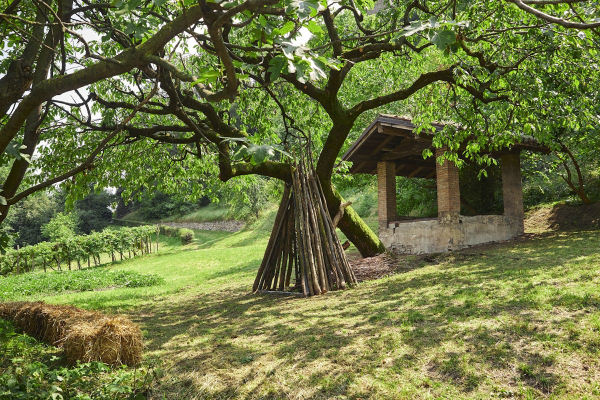 Il giardiniere racconta Il giardiniere racconta