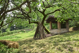 Il giardiniere racconta