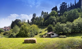 Natura tra le Mura