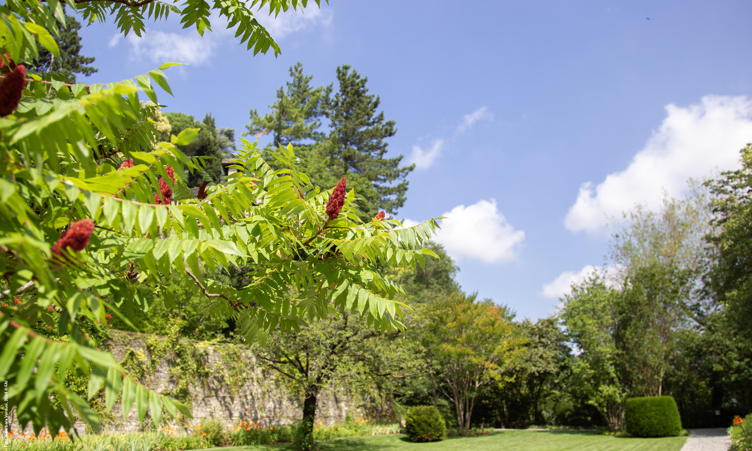 Ti racconto i paesaggi di Palazzo Moroni