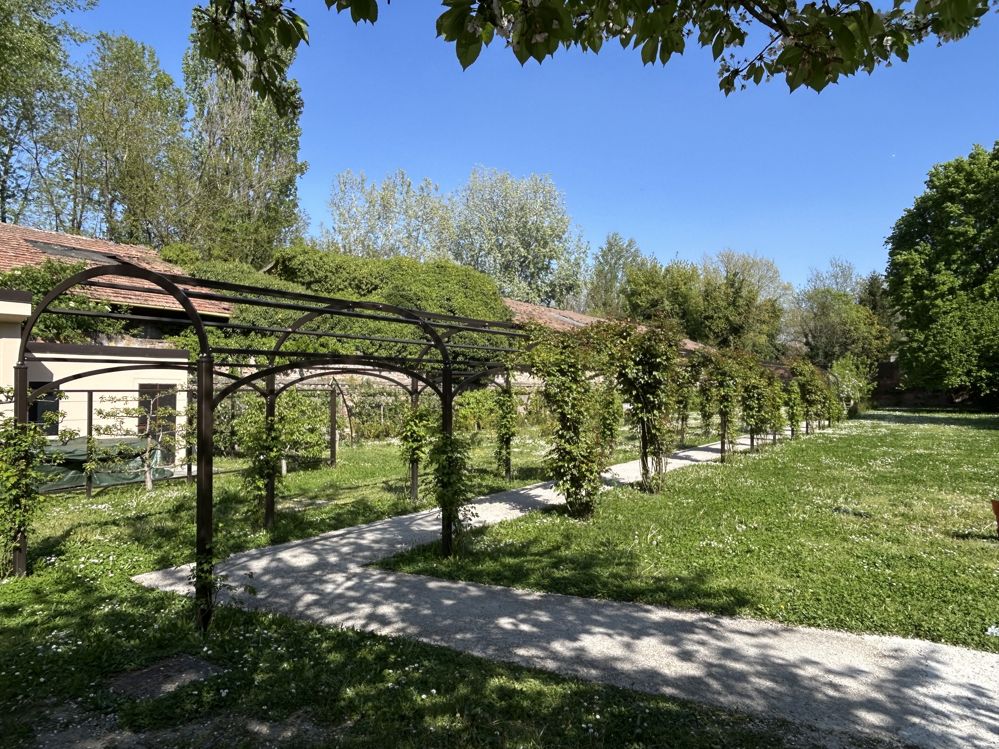 Giardino di palazzo Schifanoia