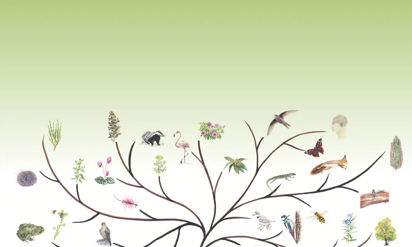 Patrimoni Agricoli e Paesaggi Urbani - Visita guidata alla Riserva Naturale delle Sorgenti della Muzzetta Patrimoni Agricoli e Paesaggi Urbani - Visita guidata alla Riserva Naturale delle Sorgenti della Muzzetta