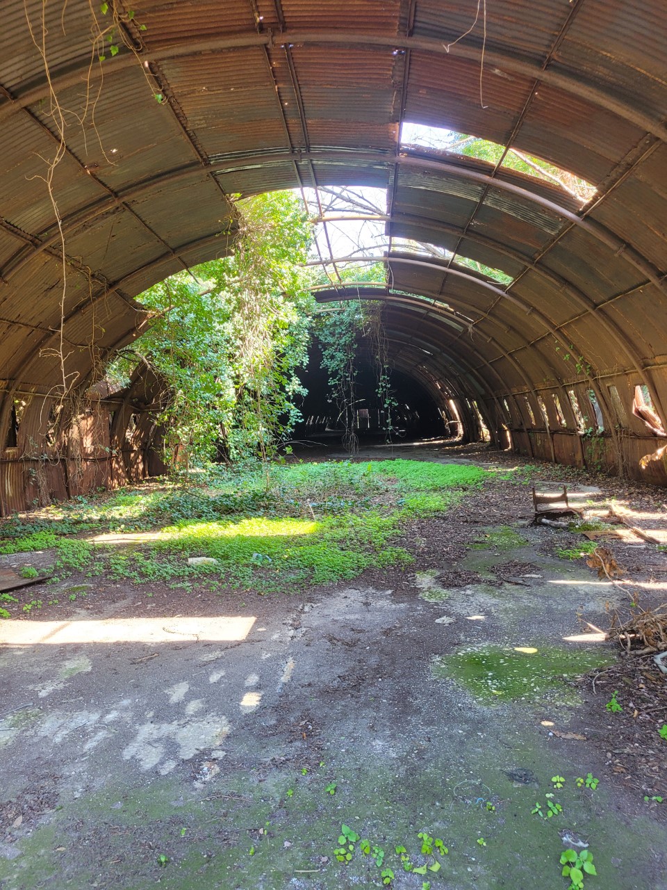 OLTRE QUEL MURO - Dopo il Ma.C.Ri.Co , aspettando il parco