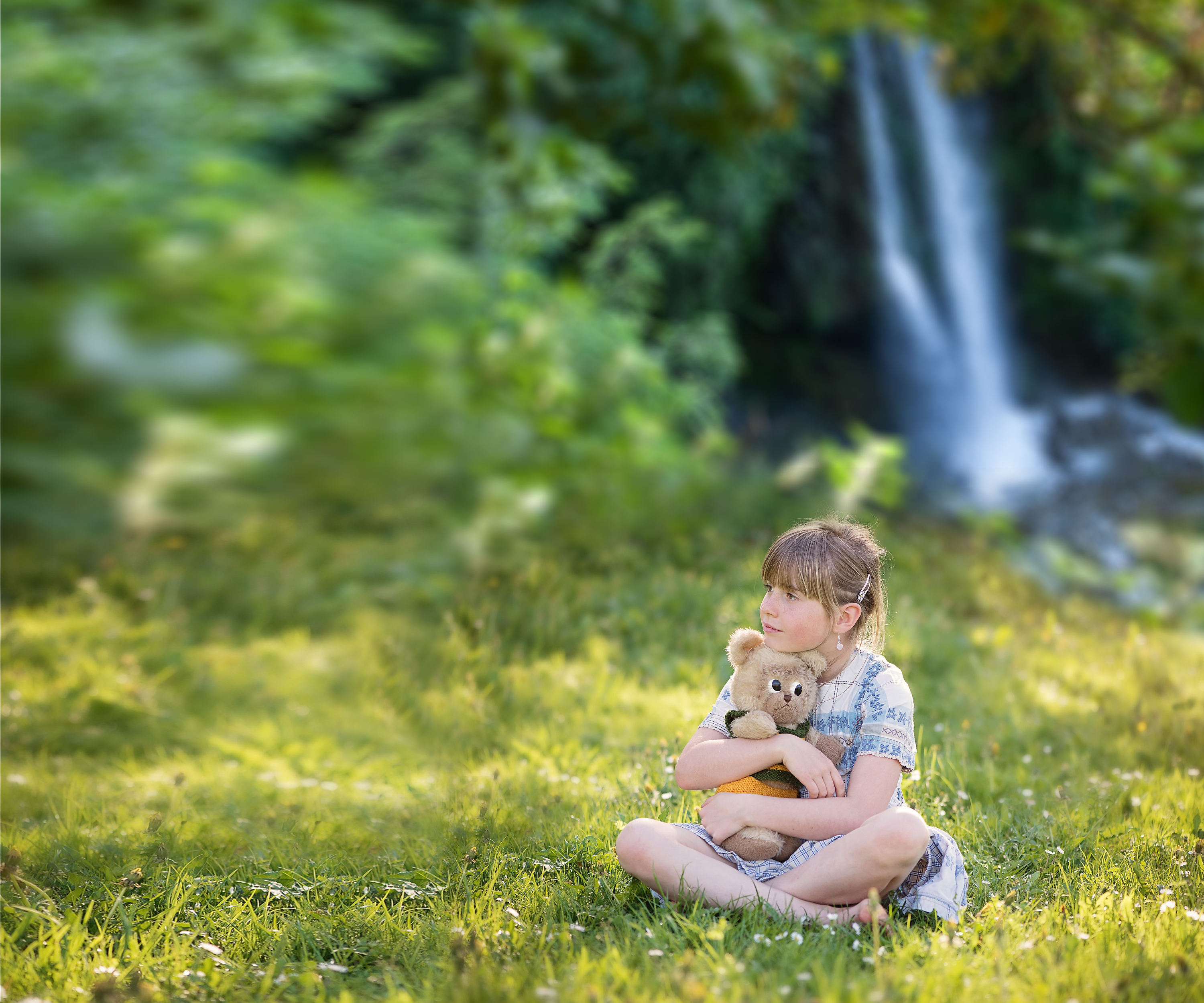 Il bosco dei peluches