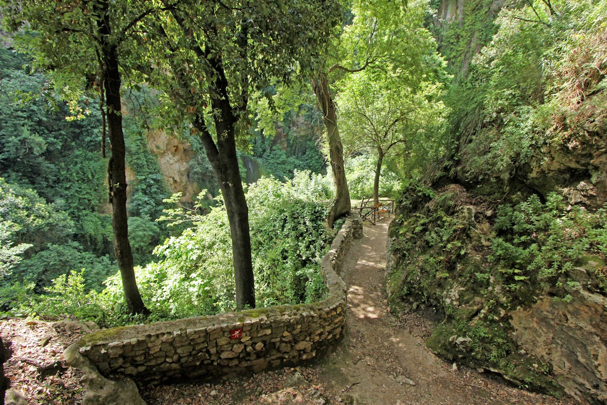 Bio-Trekking: passeggiata con il biologo Bio-Trekking: passeggiata con il biologo