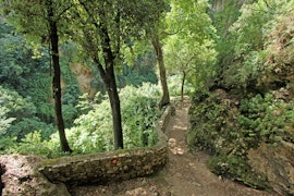 Bio-Trekking: passeggiata con il biologo