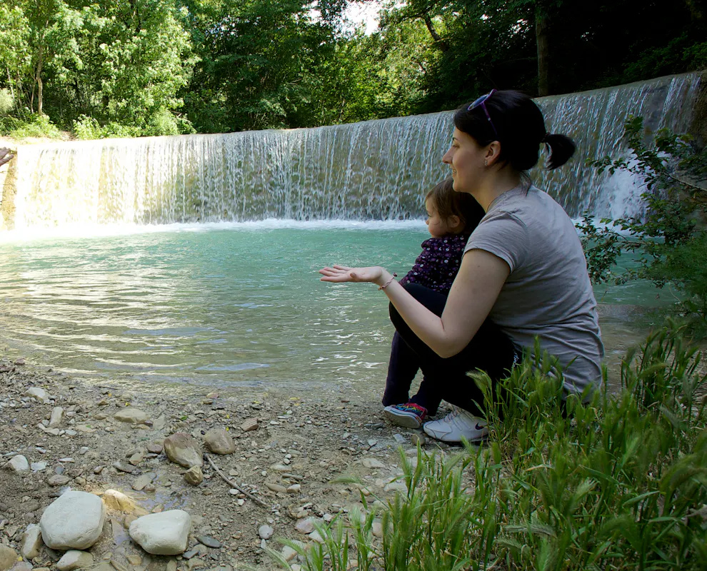 Nel bosco con mamma Nel bosco con mamma