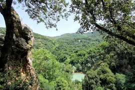 Giornate fuori porta: 1° maggio a Villa Gregoriana