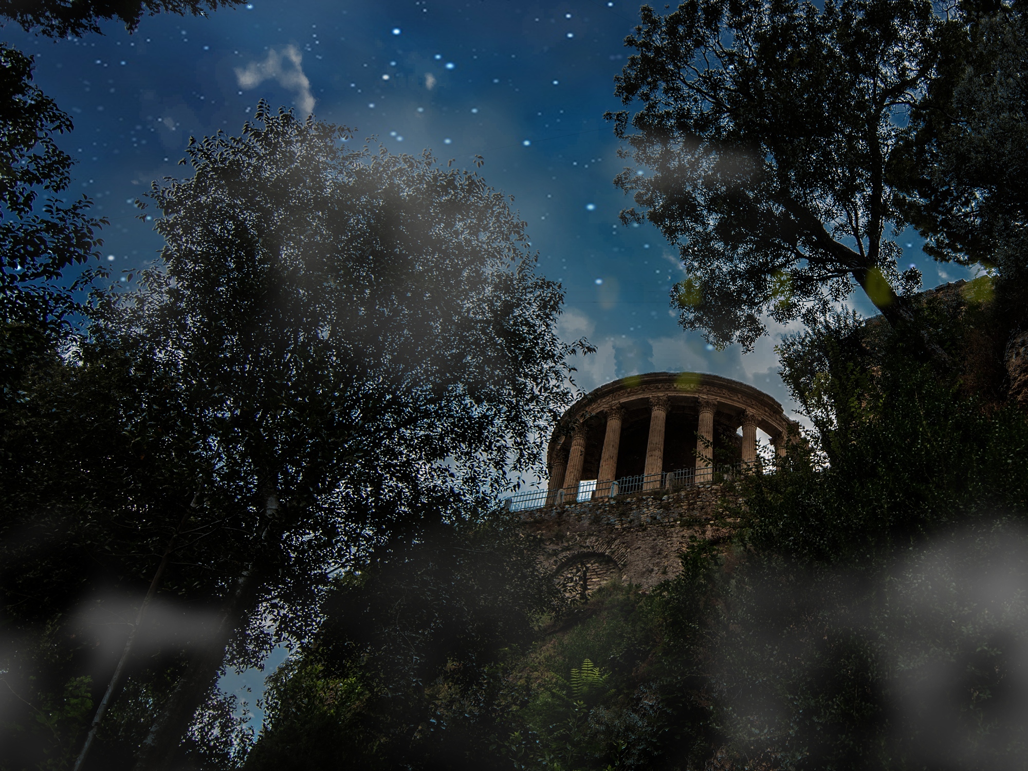 Un bosco…misterioso