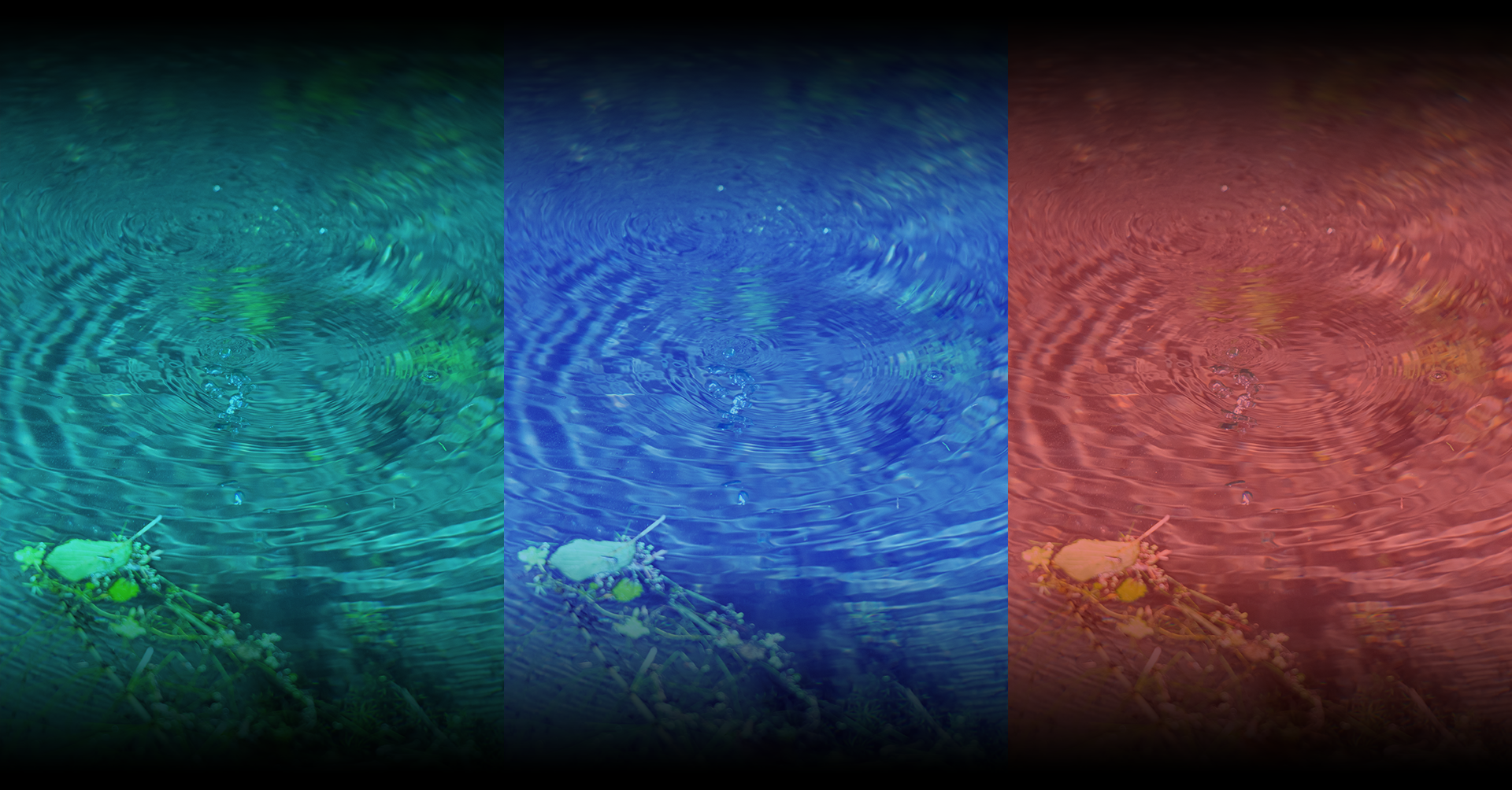 Acque come bene comune. L'esperienza del vicentino