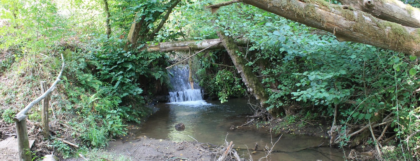 Via Francigena laziale: da Capranica a Sutri