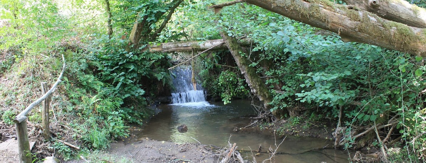 Via Francigena laziale: da Capranica a Sutri Via Francigena laziale: da Capranica a Sutri