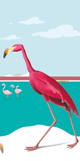 Festa della Laguna