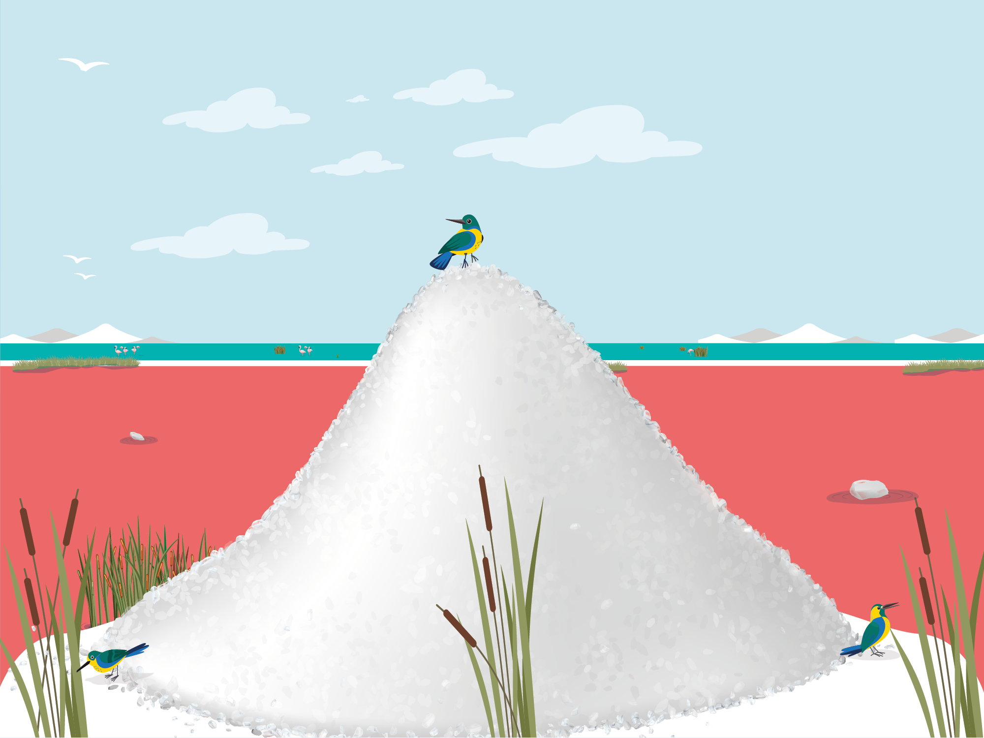 Festa della raccolta del sale