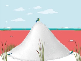 Festa della raccolta del sale