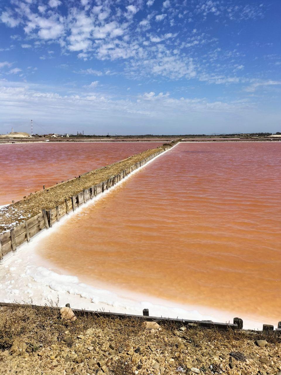 Viaggio organizzato Festa della Laguna - Saline Conti Vecchi