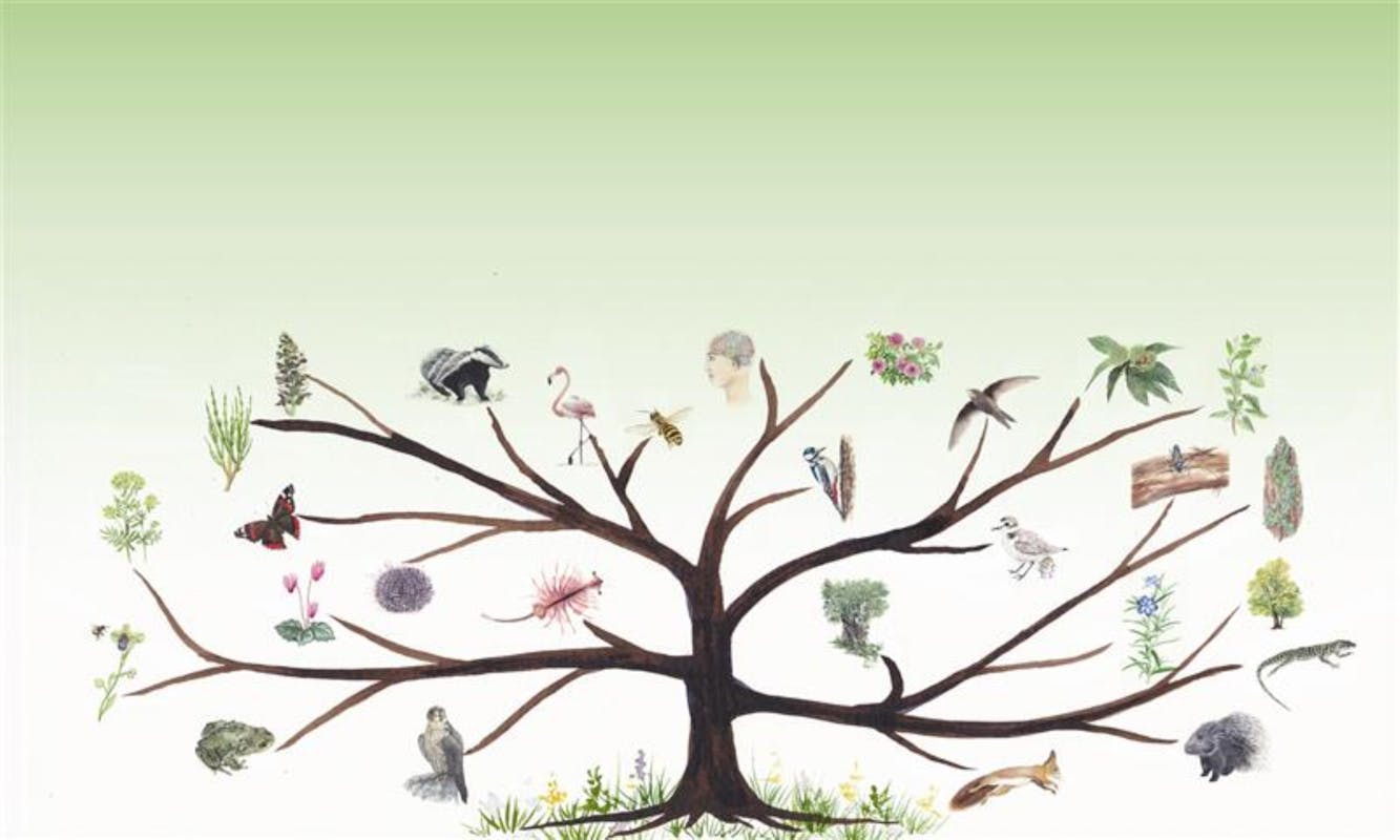 NUTRIRSI DI BIODIVERSITA' GRANI DA CUSTODIRE ED ERBE DA BERE NUTRIRSI DI BIODIVERSITA' GRANI DA CUSTODIRE ED ERBE DA BERE