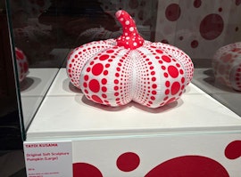 Visita alla mostra "Pop Japan - I Grandi Maestri del Sol Levante" ed alla Grotte del Cantinone ad Osimo.