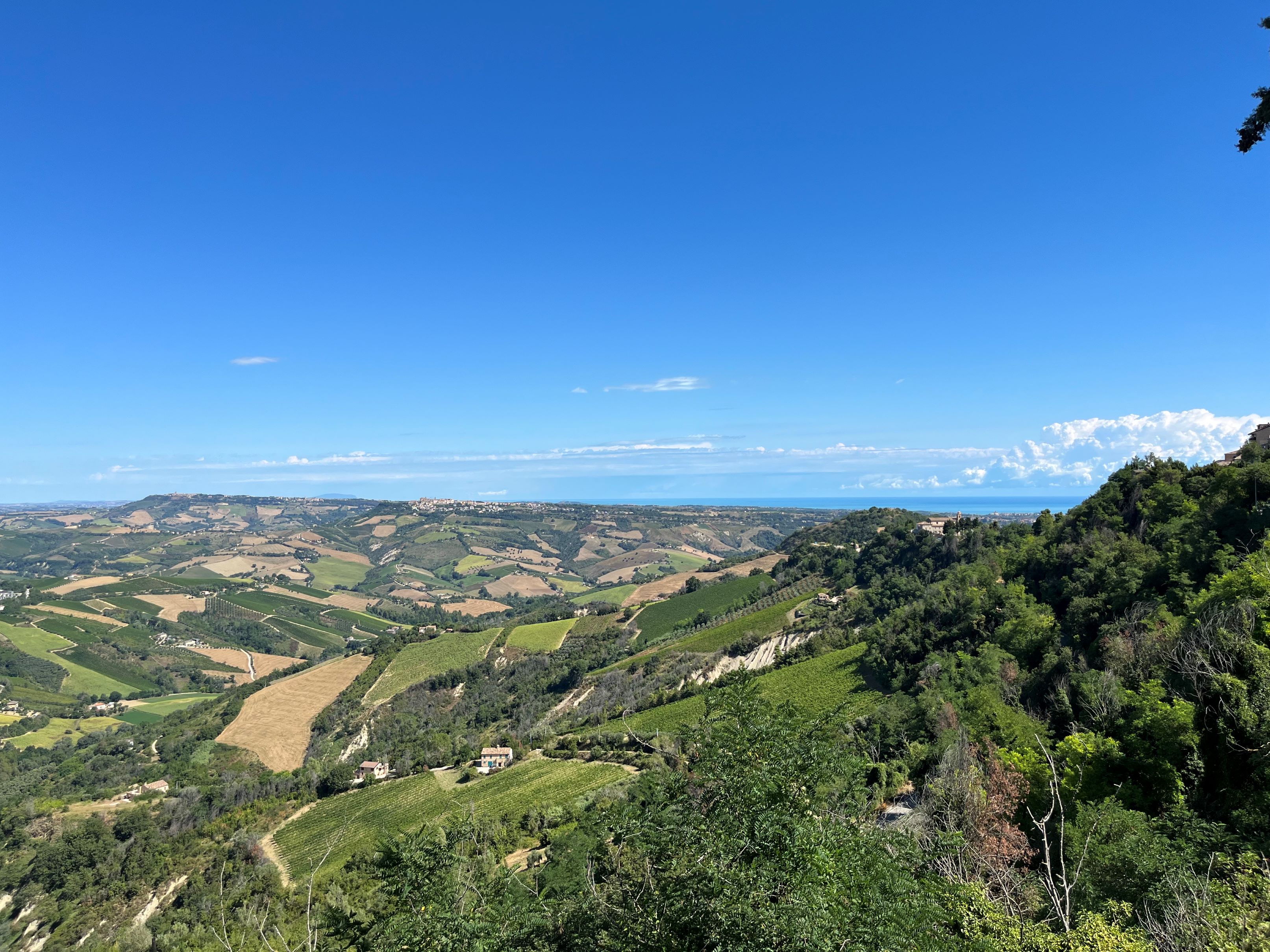 Progetto PAN - Weekend del Vino - Visita all'azienda agricola "Cantine D'Ercoli"
