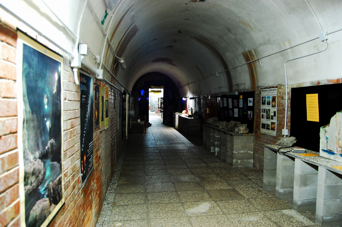 Lo Speleovivarium di Trieste: da rifugio antiaereo a custode di biodiversità