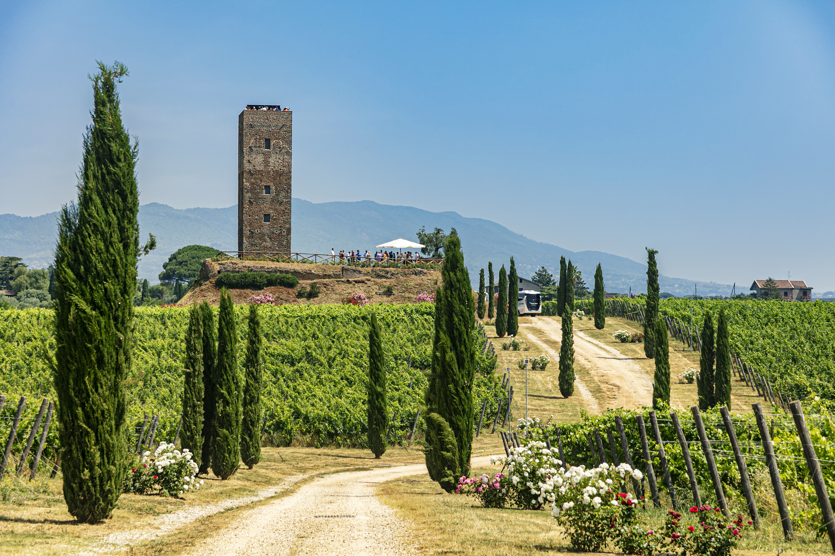 CALICI DI STORIA A TENIMENTI LEONE ARCHEOLOGIA, STORIA, VINO E SOSTENIBILITÀ AMBIENTALE