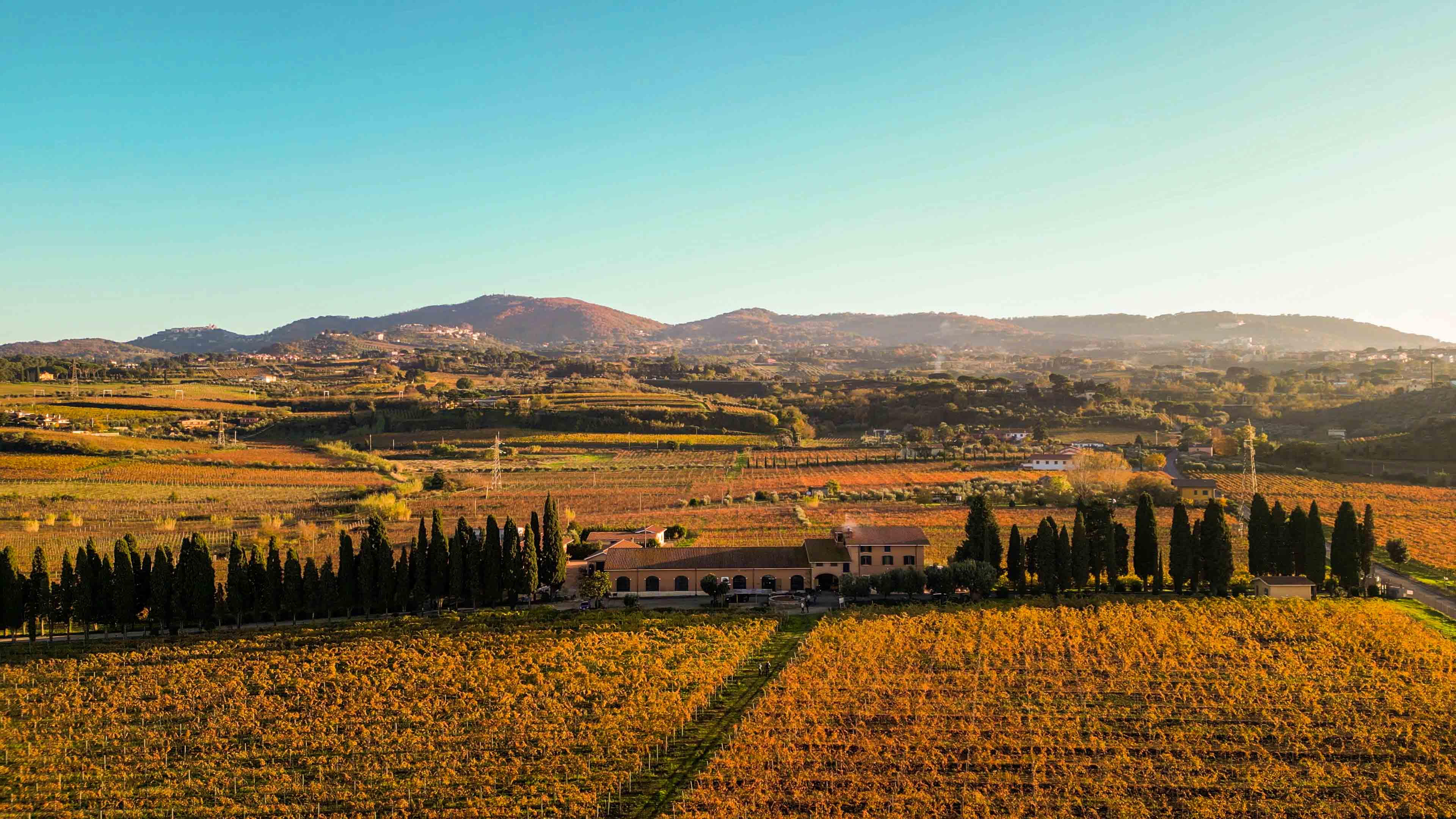 Calici di storia: Tenuta di Pietra Porzia