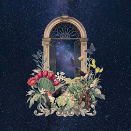 Echi di Sicilia - Trapani: Sguardi al cielo tra stelle musica e vino