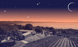Calici sotto le stelle