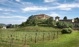 Appuntamento in Giardino