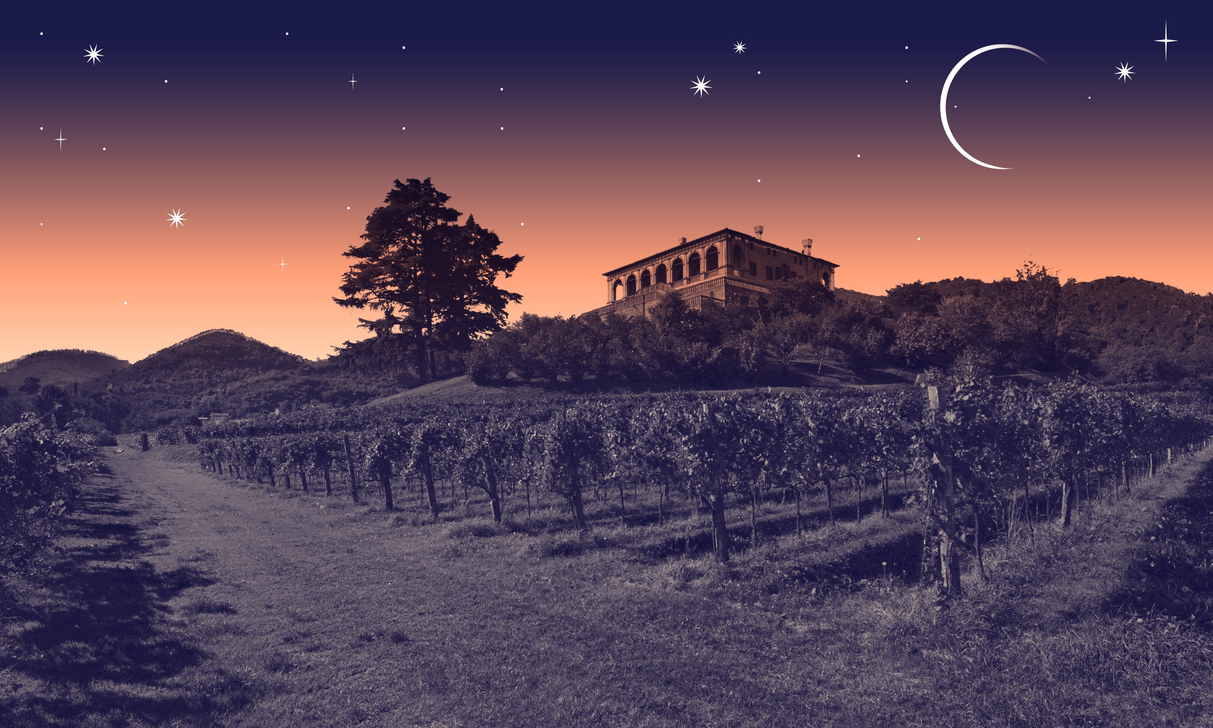 Con gli occhi al cielo. A cena con Galileo