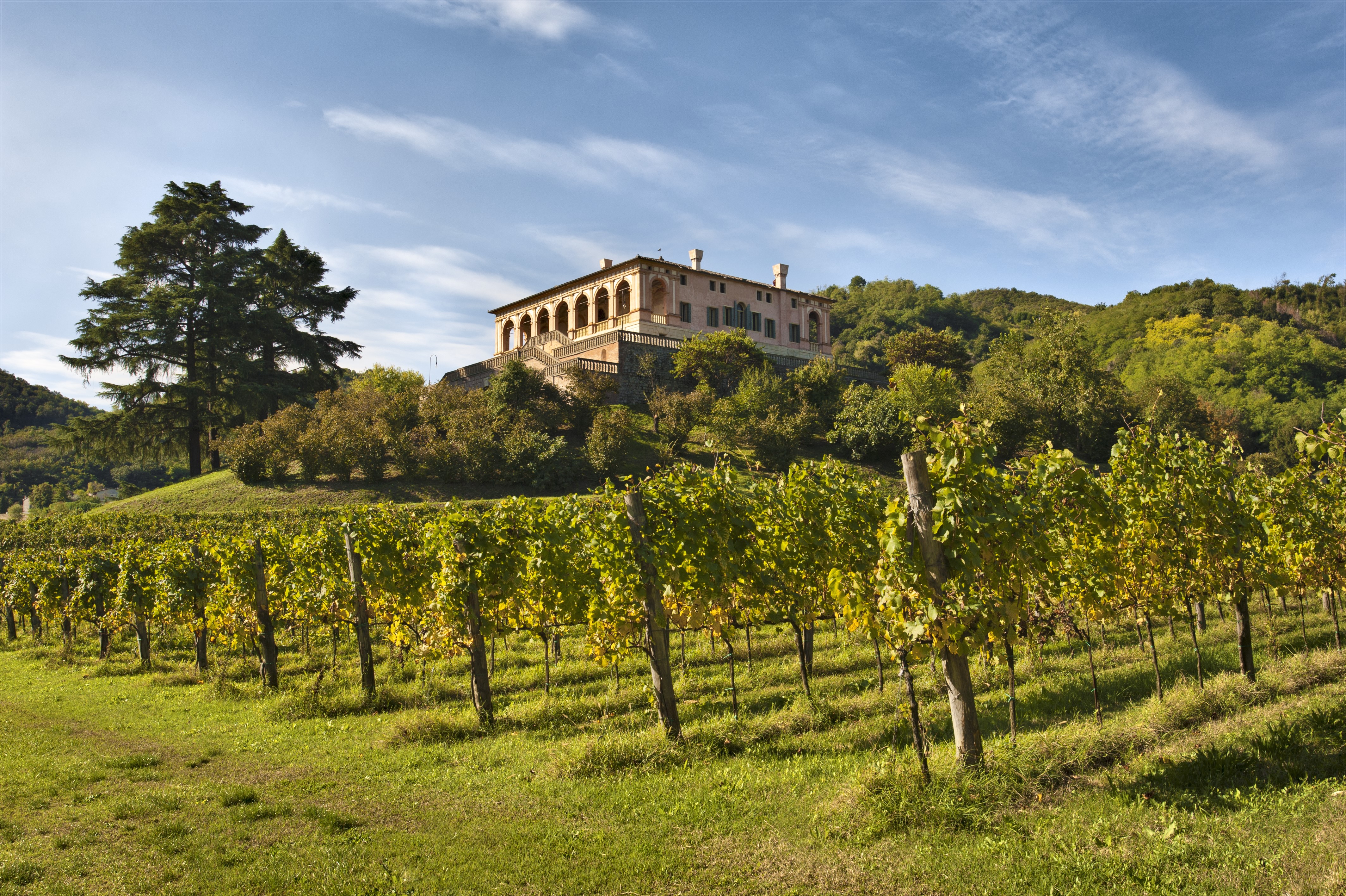 Degustazioni