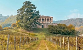 Agricola: l'estate di San Martino