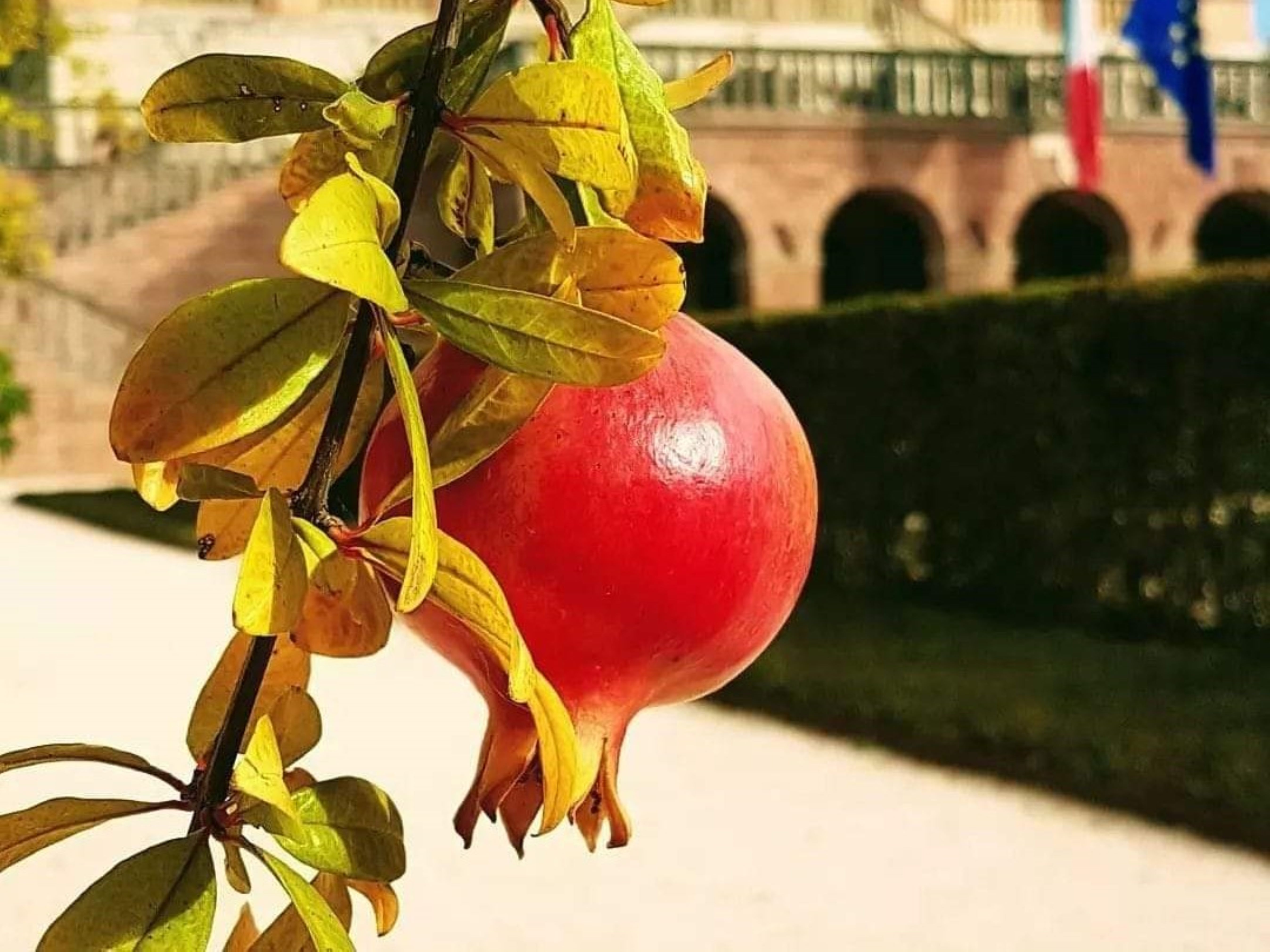 Festa della Zucca e dei frutti antichi