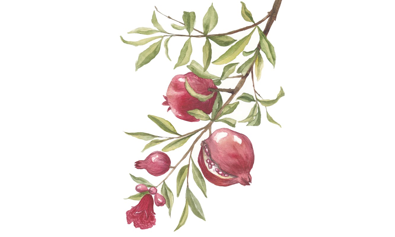 Flora e fauna nel Brolo della Villa Flora e fauna nel Brolo della Villa