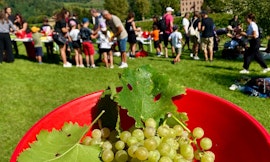 Laboratorio Vendemmia con traduzione in LIS