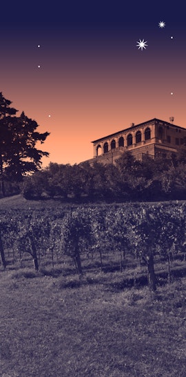 Notte nel verde