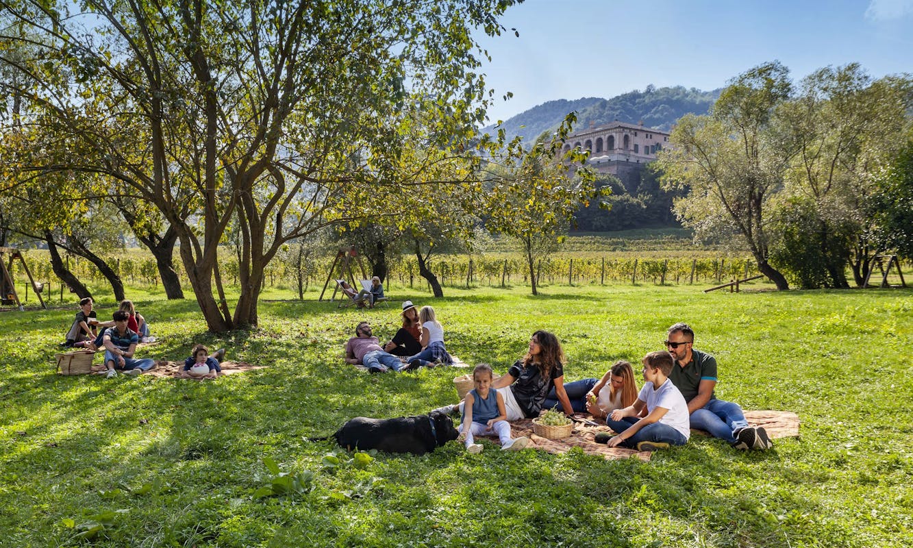 Picnic in Villa Picnic in Villa