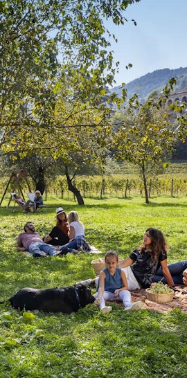 Picnic in Villa