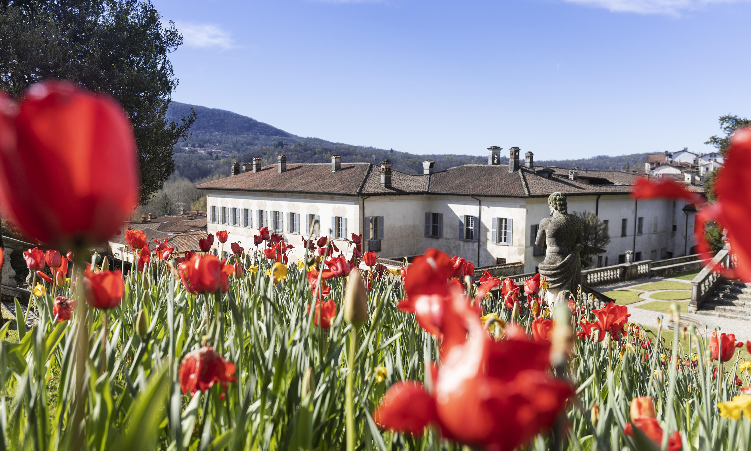 Caccia al Tesoro Botanico