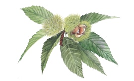 Piccoli mondi, grandi scoperte: la biodiversità a portata di mano