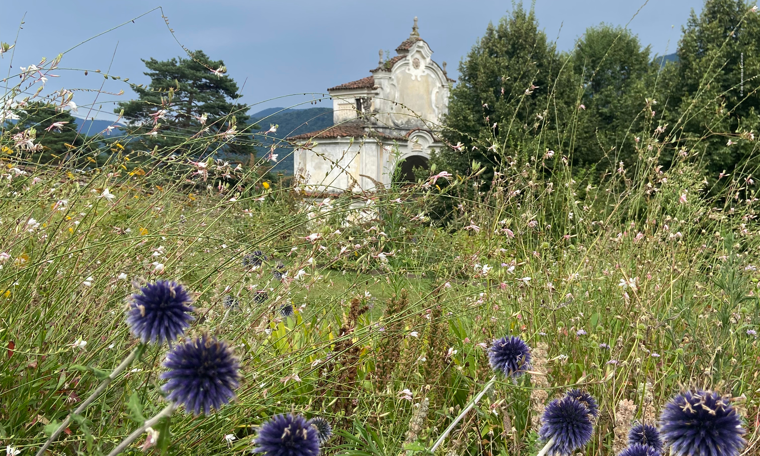 Esplorando la Biodiversità